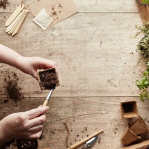 Slow Grown Seasonal Seeds